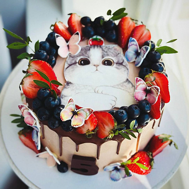 Торт "Котенок" купить - саров.сладкоежкин.рф